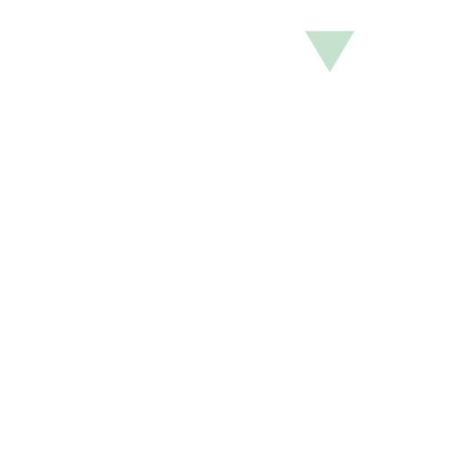 Skye high Group Logo White with Green Triangle